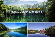 Haftanın rotası: Abant & Gölcük & Yedigöller