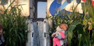 İşte uçağın tarlaya acil iniş anı