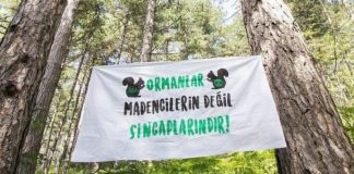 Çevre talanında bir ülkenin ‘muhafazakarlaşan’ tarihi