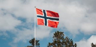 Norveç’ten sahte pasaport açıklaması: Türkler…