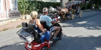 Adalar’da atların akıbetine dair içeriden bir görüş