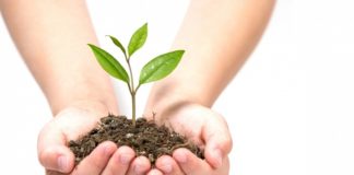 Tema Vakfı’ndan Kaz Dağları çağrısı