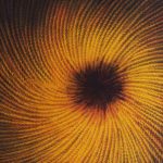 Ahmet Yeşil’den 40. sanat yılında “Sesler ve İzler” sergisi