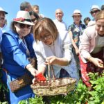 GastroAntep Festivali biber hasadı ile başladı