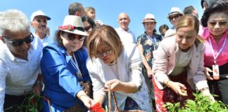 GastroAntep Festivali biber hasadı ile başladı