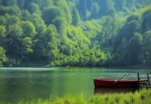 Türkiye’deki milli parklar ziyaretçi rekoru kırdı Karagöl-Sahara Millî Parkı, Türkiye'deki millî park alanlarından birisidir. Artvin'in Şavşat ilçesi sınırları içerisinde yer alan park, Karagöl ve Sahara Yaylası olmak üzere iki ayrı sahadan oluşur.