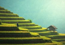 MICE organizasyonlarının yeni gözdesi: Endonezya