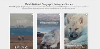 Instagram hikayelerini gizlice izlemenizi sağlayacak girişim