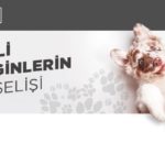 Köpeğinizle konaklayabileceğiniz 5 Hilton oteli