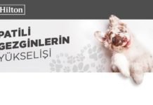 Köpeğinizle konaklayabileceğiniz 5 Hilton oteli