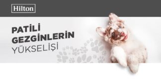 Köpeğinizle konaklayabileceğiniz 5 Hilton oteli