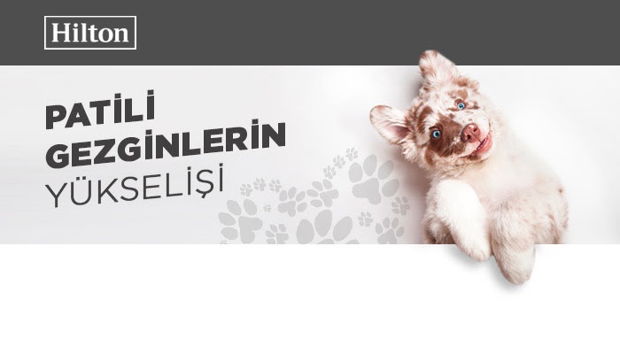 Köpeğinizle konaklayabileceğiniz 5 Hilton oteli