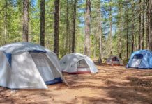 Ayvalık’taki kamping alanları satışa çıktı Bu Yaz İçin Rusların Tatil Tercihlerini Açıkladı