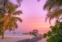 Maldivler’de Türk misafirperverliği %70’lik pazar payını getirdi