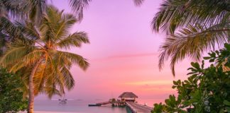 Rus turist sayısında rekor kırdılar