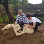 İşte turist olarak Güney Afrika izlenimlerim