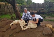 İşte turist olarak Güney Afrika izlenimlerim