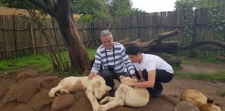 İşte turist olarak Güney Afrika izlenimlerim