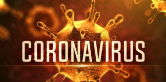 “Sınırlarımız folofoş olmuş, millet hâlâ Türkiye’ye virüs bulaşır mı diyor!”