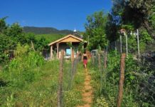 Turizmin tarım sektörüne etkisi: TATUTA projesi örneği