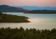 Ayvalık’ta tabiat parkı içinde kalan alanlar ihaleye çıktı