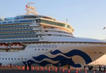 Cruise gemisinde yeni gelişme! Bir Rusya vatandaşına coronavirus bulaştı