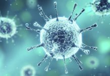 Coronaviruse karşı bağışıklığı güçlendirmenin 10 kuralı