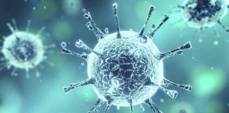 Coronaviruse karşı bağışıklığı güçlendirmenin 10 kuralı