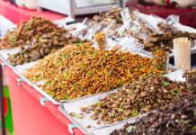 Yenilebilir böceklerin sağladığı 5 katkı