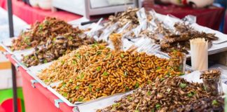 Yenilebilir böceklerin sağladığı 5 katkı