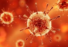 Covid-19 vücudumuzda böyle yolculuk ediyor!