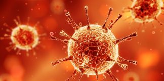 Covid-19 vücudumuzda böyle yolculuk ediyor!