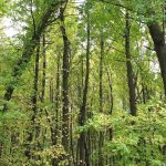 İşte pandemide nefes aldıracak 19 ekoturizm rotası