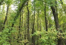 İşte pandemide nefes aldıracak 19 ekoturizm rotası