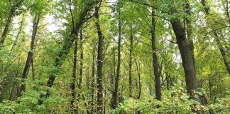 İşte pandemide nefes aldıracak 19 ekoturizm rotası