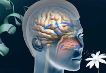 Gastronomide yeni bir pazarlama alanı: Nörogastronomi