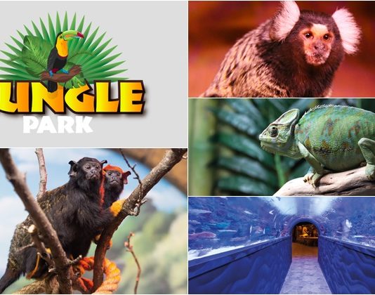 “Jungle Park” kapılarını misafirlerine açtı
