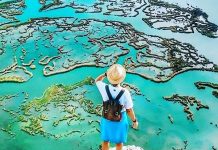 Muğla, 2024’te 3,7 Milyon Yabancı Turisti Ağırladı Muğla'ya gelen yabancı turist sayısı 2,5 milyonu aştı