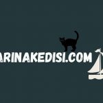 Tek tuşla ‘marina fiyatı sorgulama’ hizmete girdi