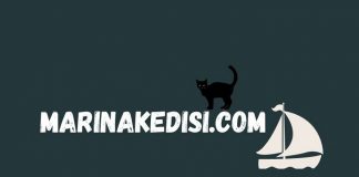 Tek tuşla ‘marina fiyatı sorgulama’ hizmete girdi