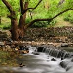 Balıkesir’de görülmesi gereken en güzel milli ve tabiat parkları