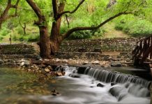 Balıkesir’de görülmesi gereken en güzel milli ve tabiat parkları