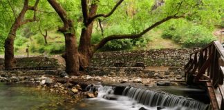 Balıkesir’de görülmesi gereken en güzel milli ve tabiat parkları