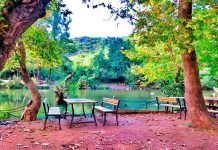 İstanbul’un en iyi piknik alanları & mesire yerleri İstanbul'da piknik yerleri