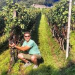 Bağ turizmi Türkiye için önemli bir potansiyel!