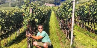 Bağ turizmi Türkiye için önemli bir potansiyel!