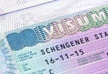 Başvurular başladı… Türkiye pasaportu için kararını değiştirdi AB'ye Vize Serbestisi Çağrısı