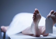 İntihar: Bir turizm hareketi olabilir mi?