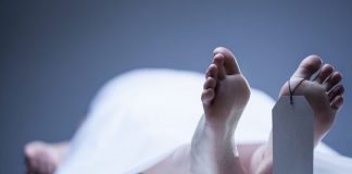 İntihar: Bir turizm hareketi olabilir mi?