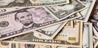 Alman bankadan yeni Dolar/TL öngörüsü Dolar Kritik Eşiği Geçti